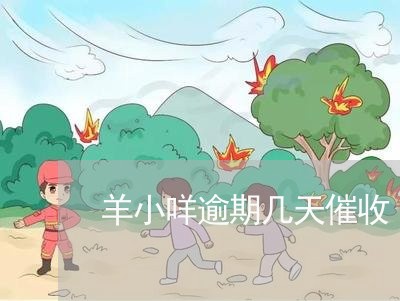 羊小咩逾期几天催收 羊小咩逾期几天催收