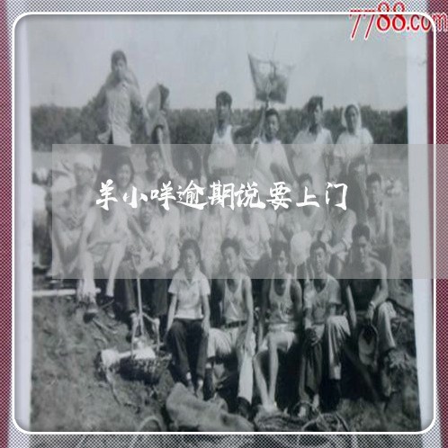 羊小咩逾期说要上门