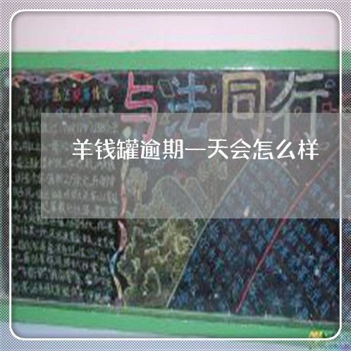 羊钱罐逾期一天会怎么样