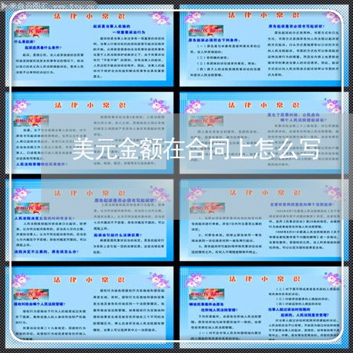 美元金额在合同上怎么写/2023011606148 美元金额在合同上怎么写/2023011606148