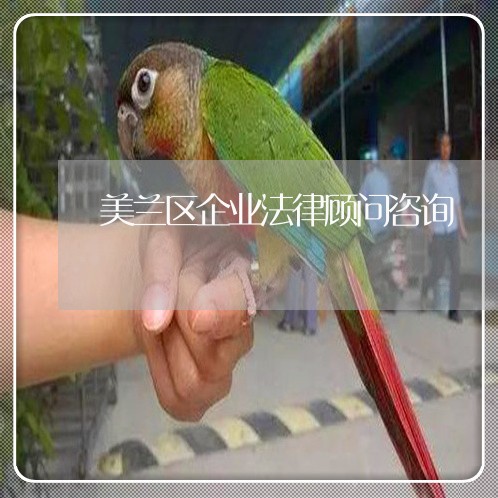 美兰区企业法律顾问咨询/2023061750483