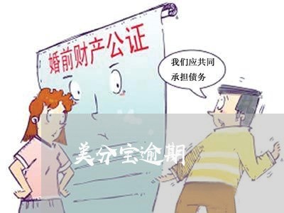 美分宝逾期