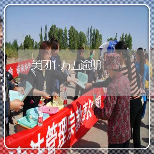 美团1万五逾期/2023013178602 美团1万五逾期/2023013178602
