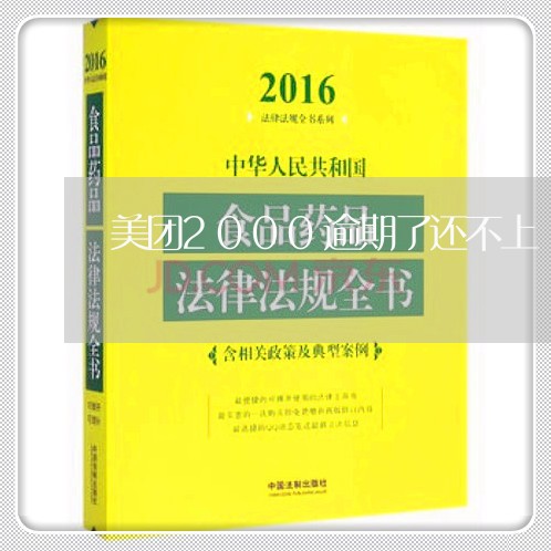 美团2000逾期了还不上/2023042240615