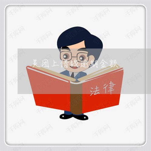 美团上借钱逾期金额