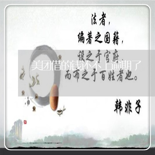 美团借的钱还不上逾期了/2023061870491