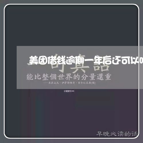 美团借钱逾期一年后还可以吗/2023060532507