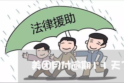 美团月付逾期11天了怎么办 美团月付逾期11天了怎么办