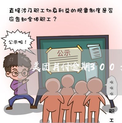 美团月付逾期300天了