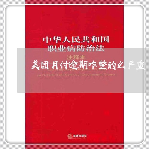 美团月付逾期咋整的么严重