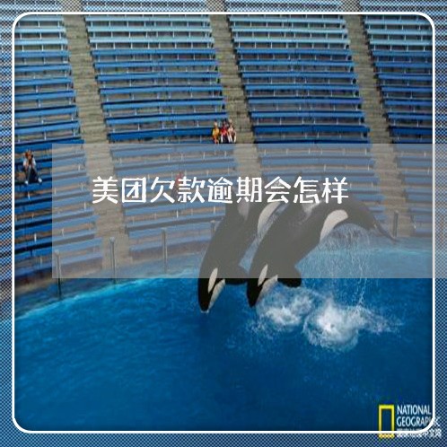 美团欠款逾期会怎样 美团欠款逾期会怎样