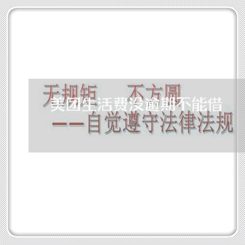 美团生活费没逾期不能借 美团生活费没逾期不能借