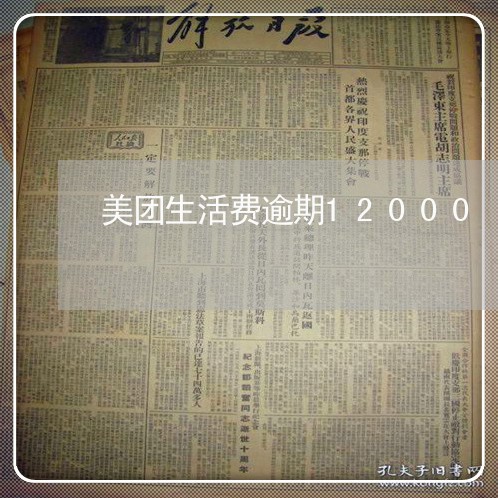 美团生活费逾期12000/2023091514150