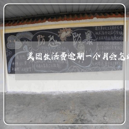 美团生活费逾期一个月会怎么样