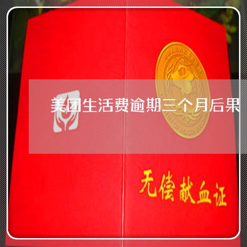 美团生活费逾期三个月后果 美团生活费逾期三个月后果