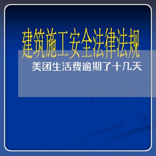 美团生活费逾期了十几天/2023112512836