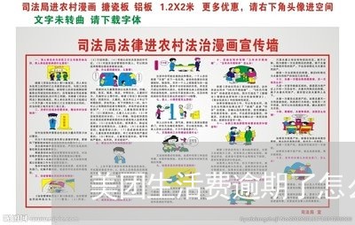 美团生活费逾期了怎么催账/2023042249402