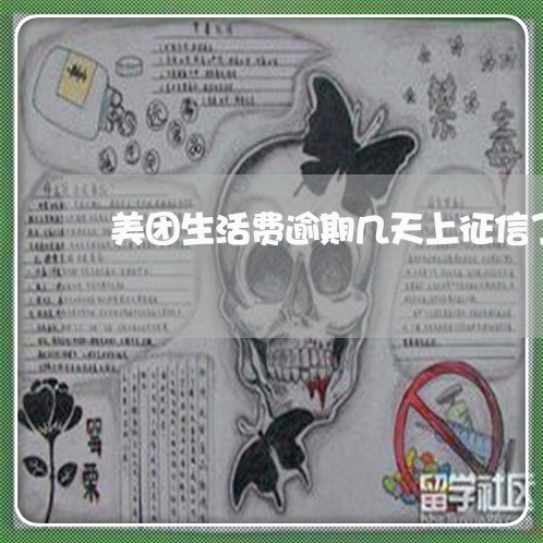 美团生活费逾期几天上征信了 美团生活费逾期几天上征信了