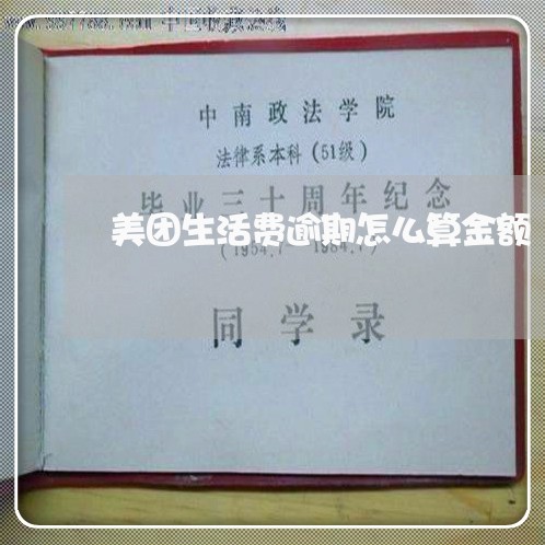 美团生活费逾期怎么算金额 美团生活费逾期怎么算金额