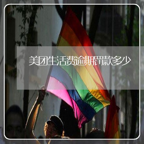 美团生活费逾期罚款多少 美团生活费逾期罚款多少