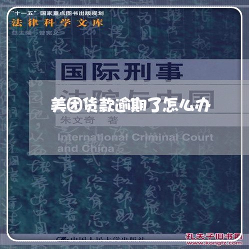 美团货款逾期了怎么办/2023031824147