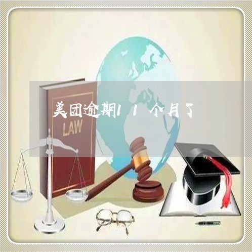 美团逾期11个月了