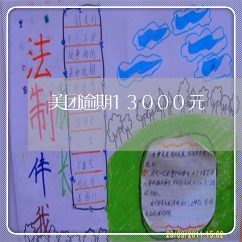 美团逾期13000元/2023031888470