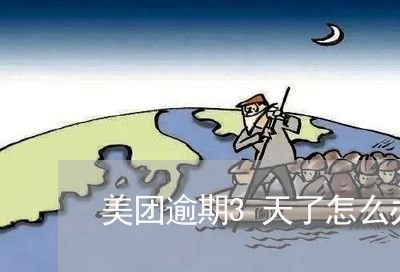 美团逾期3天了怎么办