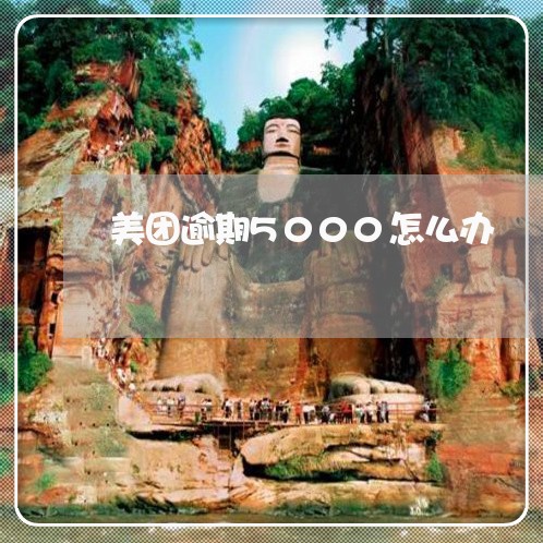 美团逾期5000怎么办 美团逾期5000怎么办