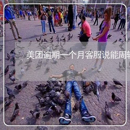 美团逾期一个月客服说能周转方案 美团逾期一个月客服说能周转方案