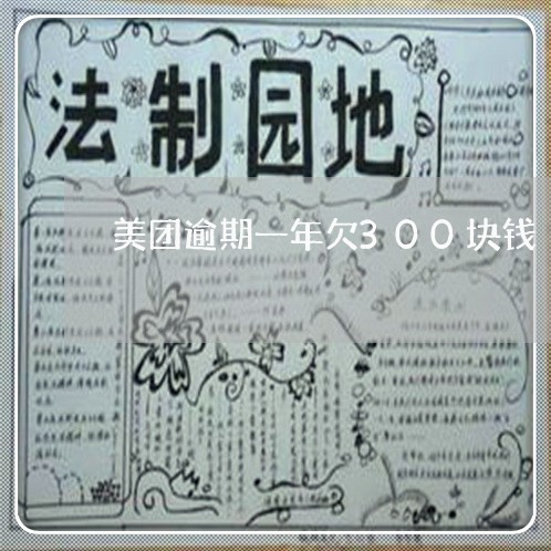 美团逾期一年欠300块钱 美团逾期一年欠300块钱