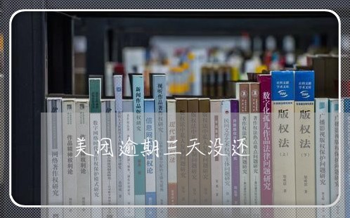 美团逾期三天没还/2023020294036 美团逾期三天没还/2023020294036