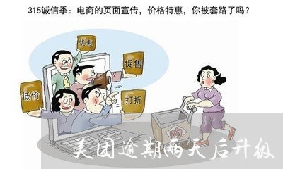 美团逾期两天后升级/2023020654060 美团逾期两天后升级/2023020654060