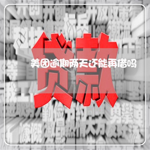 美团逾期两天还能再借吗/2023071041584