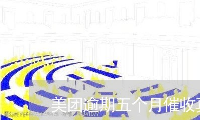 美团逾期五个月催收真恶心/2023091347160