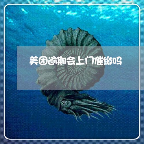 美团逾期会上门催缴吗 美团逾期会上门催缴吗