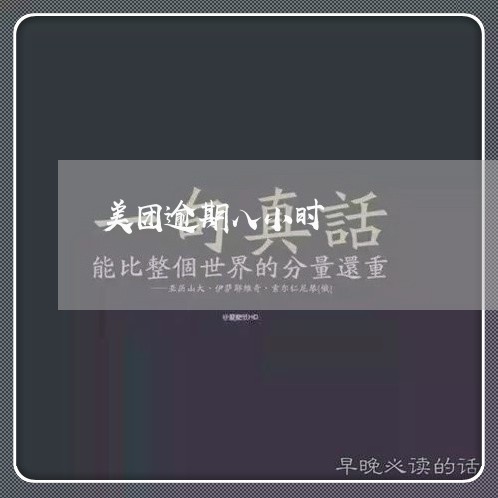 美团逾期八小时/2023091633504