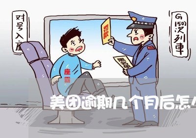 美团逾期几个月后怎么还款/2023091694837