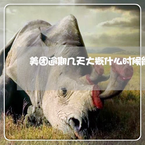 美团逾期几天大概什么时候能再借 美团逾期几天大概什么时候能再借