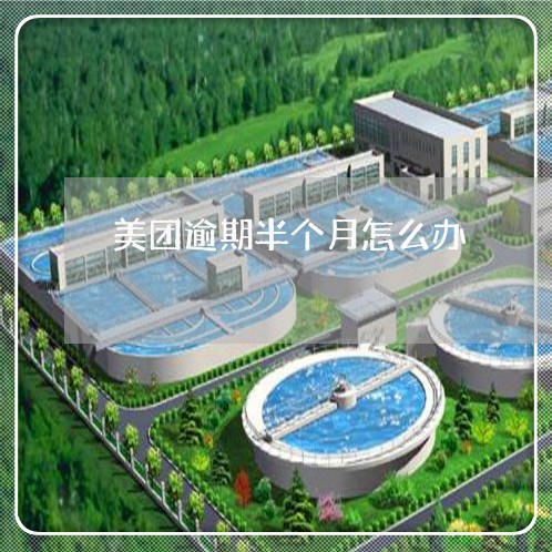 美团逾期半个月怎么办 美团逾期半个月怎么办