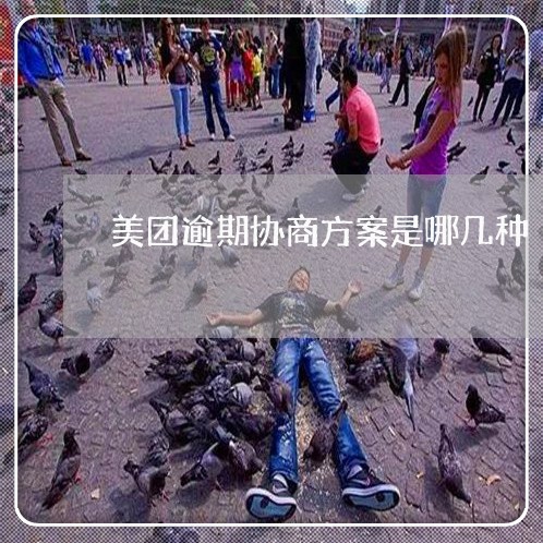 美团逾期协商方案是哪几种/2023060985159 美团逾期协商方案是哪几种/2023060985159