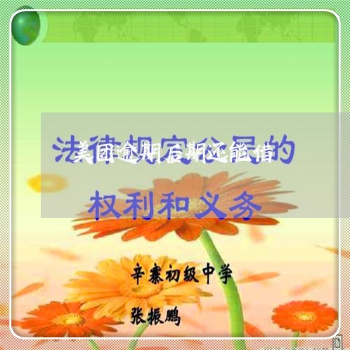 美团逾期后期还能借/2023020649470