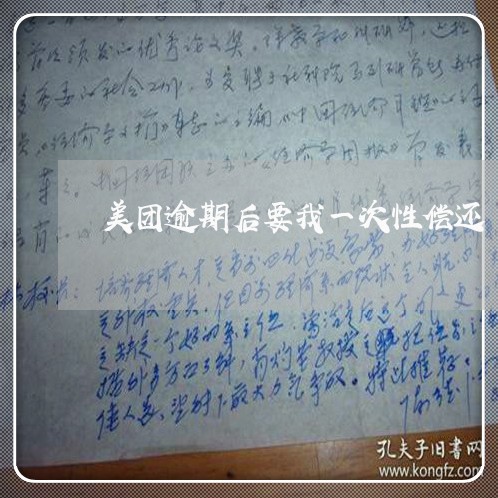 美团逾期后要我一次性偿还/2023060908371