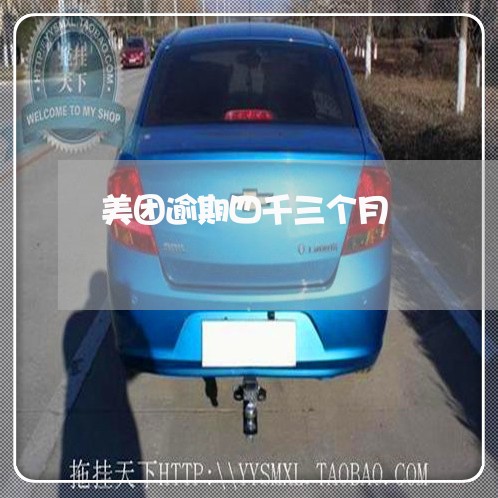 美团逾期四千三个月