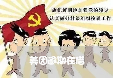 美团逾期在借/2023071369501