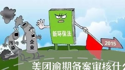 美团逾期备案审核什么意思