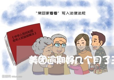 美团逾期好几个月了三千多/2023060915049