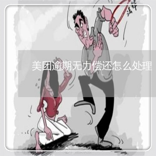 美团逾期无力偿还怎么处理/2023032572703