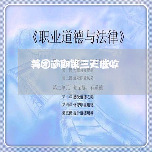 美团逾期第三天催收/2023021868925