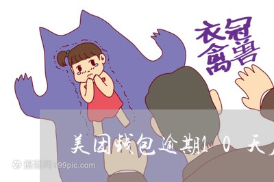 美团钱包逾期10天后果是 美团钱包逾期10天后果是